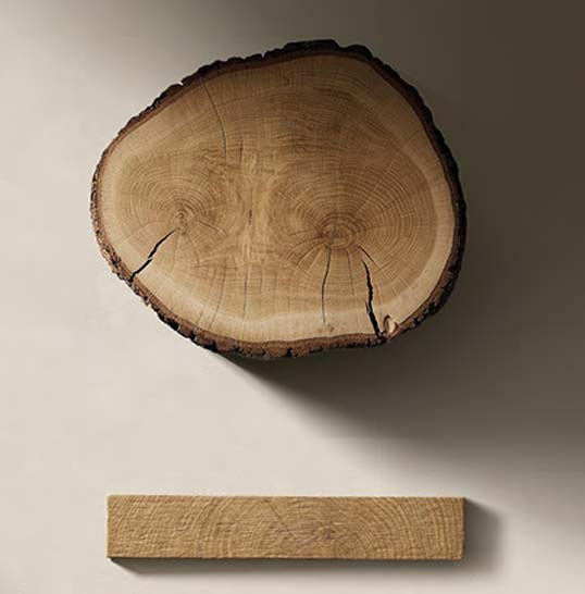 Coupe transversale d’un tronc révélant les anneaux du bois, source d’inspiration pour une céramique architecturale en relief